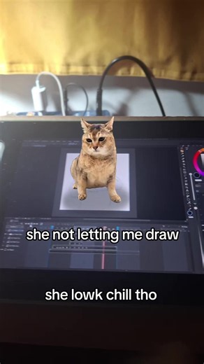 she chill tho so its alr 🫡 #art #meimei #toletole #cat | drawings