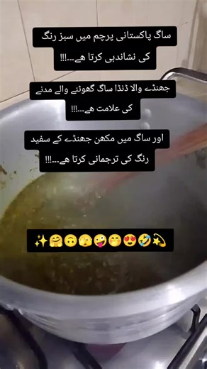 Understanding the Symbolism of the Pakistani Flag