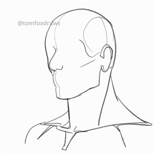 Imagine a whole book of these anatomy animations. Would you read it? Let me know if it'd help your own Anatomy study