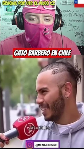 Barber cat in Chile #Chile #laughs #humor