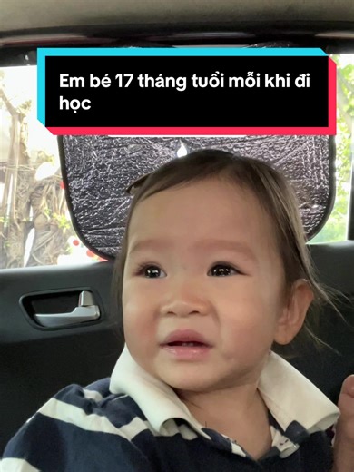 Em yêu trường em - Video Bé Aimee Vui Học