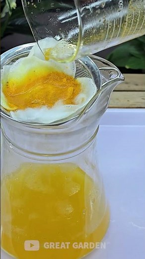 🌸1 Spoon a Week! Suddenly Your Orchid Is Producing New Roots and Flowers All Year Round🌸