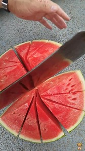 1.4M views · 3.7K reactions | Fresh Watermelon Cutting #reels #watermelon #freshwatermelon #watermeloncutting #freshfruits #fruits #fruitfulharvesting #farming #farmer #fruitcutting #cuttingskill #viral #trending | Fruitfulharvesting | Facebook