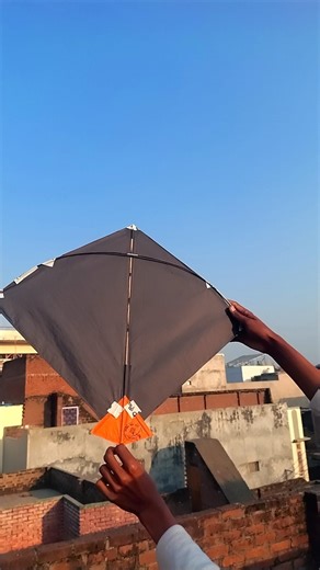 #kiteflying #shorts #youtubeshorts