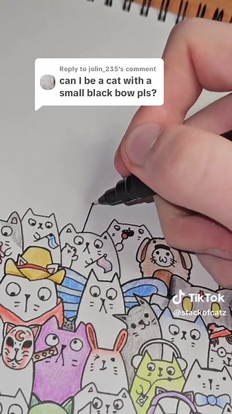 Cat with Unique Accessories | Joining the Stack