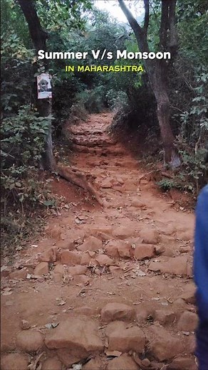 Summer vs Monsoon in Maharashtra 🌧️🌿 | Nature Transformation #Shorts