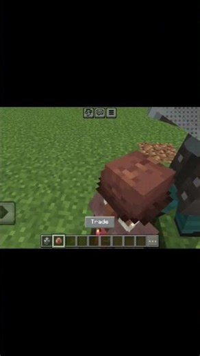 Villager VS Vindicator in Minecraft