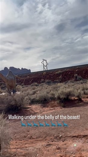 Dino Doug Crawford on Instagram: "Diplodocus longus was one of the longest animals ever to walk the Earth—a Late Jurassic giant built less like a tank and more like a living suspension bridge. Its body was slim and lightweight for its size, supported by four pillar-straight legs, while an improbably long neck stretched forward like a crane and an even longer whip-like tail streamed behind it. Everything about Diplodocus speaks to length and balance rather than brute mass. Its skull was small and
