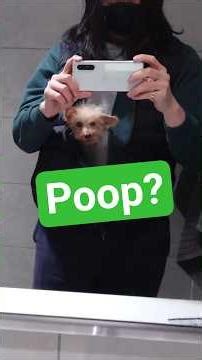 Poop, it' #hinnerfuel #offroadadventure s important on an overland trip, right?