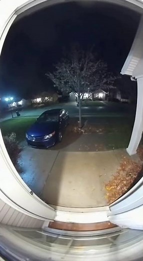 Coyote Attack! 🐺🚪 Dramatic Ring Camera Continuous Shot