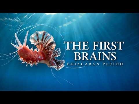The First Predators Forced Life to Evolve a BRAIN | Ediacaran Period