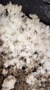 Accident causes $10,000-$20,000 failure! Here’s advice on how to avoid that | Dave's Engines