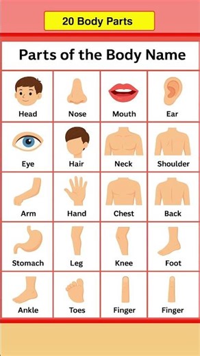 20 Basic Body Parts in English | Quick Learning | Easy Learning #Shorts #EducationalShorts #trending
