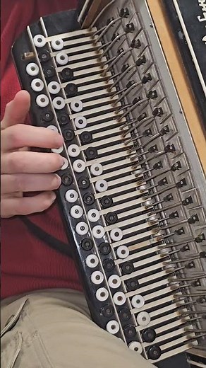 Argentinian Tango | Bayan Fusion 🎶