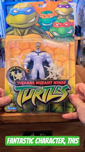 COLLECTING TMNT FIGURES!