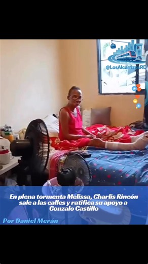 8.2K views · 51 reactions | El secretario general del PLD en Los...