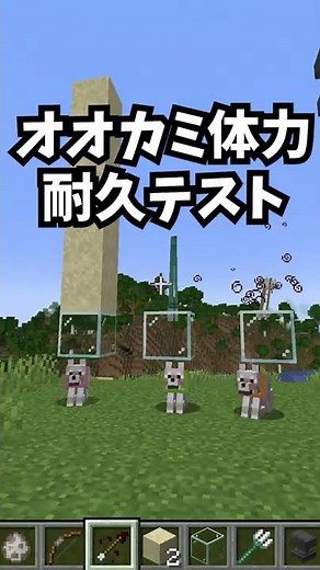 【マイクラ】オオカミ体力耐久テスト！！！【マインクラフト検証】#Shorts