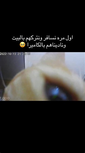 أول مرة نسافر ونتركهم بالبيت ونناديهم بالكاميرا 🥹