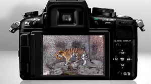 Watch Lumix GH2 Video on Amazon Live