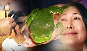 EXCLUSIVO | Kambó: el misterioso veneno de sapo