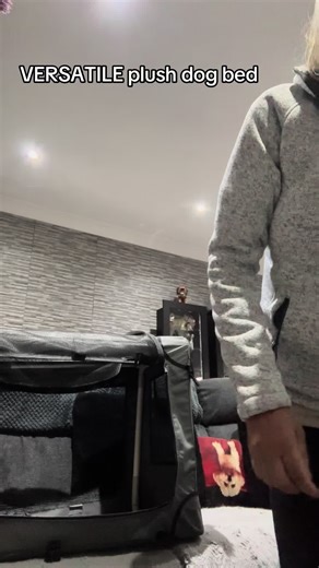 Versatile Plush Dog Bed for Any Space