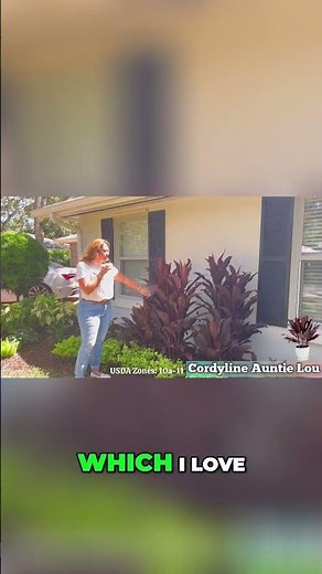 Auntie Lou Cordyline EXPERT Grouping Tips