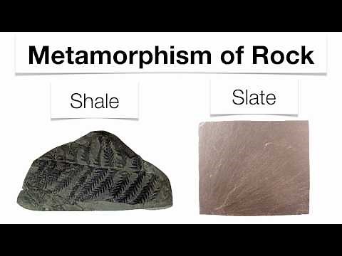 Metamorphic Rocks-Hommocks Earth Science Department