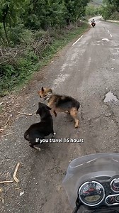 A REAL Secret Location in India 🤫 | Karl Rock