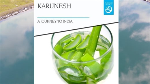 2025年Karunesh《A Journey to India(2015-2025)17 In 1》专辑.Virtue.Somewhere.Delicate