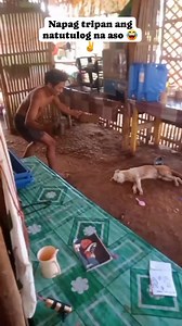 Sorry polar ✌️😂 | Cheed Deyta