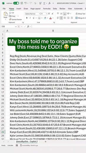 Mastering Excel: Using Copilot to Separate Text Easily