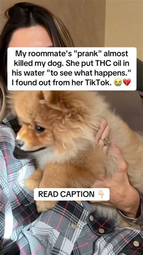 READ CAPTION 👇🏻