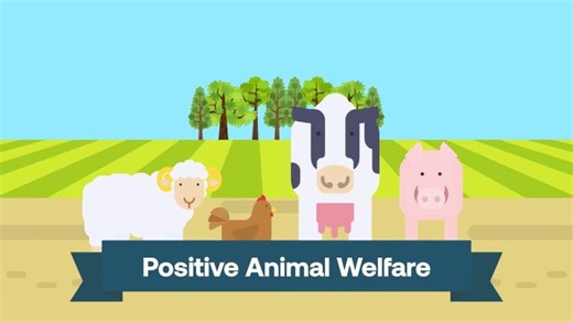Positive animal welfare explained | Laura Webb