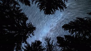 Startrails of Milky Way Galaxy Stars Motion in Dark Forest