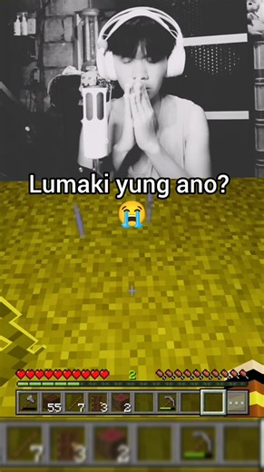 3.1K views · 116 reactions | Meteor shower #minecraft | Lorenzu PH | Facebook