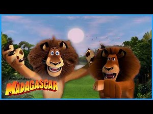 The BEST Of Alex!🦁🙌 | DreamWorks Madagascar