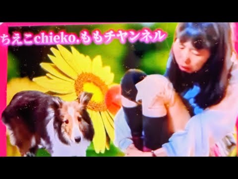 (初見さん大歓迎）6時から8時まで普通のライブ 8時から寝配信に切りかえます