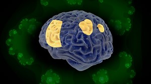 How Psychedelics Change the Brain