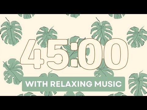 45 Min Classroom Timer ❤️ Relaxing Lofi with Plant Vibes