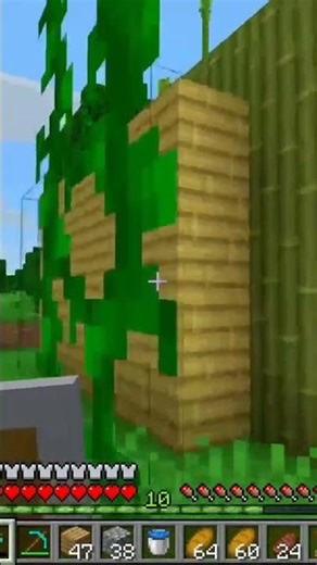 This Jungle Home Will Blow Your Mind! 😱