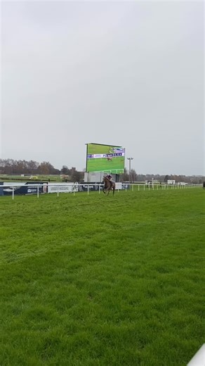 Ubatuba gaining a comfortable win in our first race today! 😃🥇 Jockey: Mr Ben Sutton Trainer: Olly Murphy | Leicester Racecourse