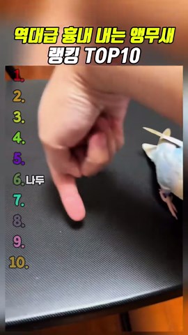 역대급 흉내 내는 앵무새의 클래식 노래