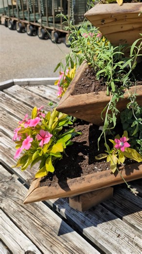 Check out this unique container from our Design Department! A fun mix of herbs and annuals, perfect for a patio corner. #herbcontainer #patiogarden #patiogardening #gardeninspiration #TheMustardSeed #chaskamn #chanhassenmn #edenprairiemn #chaskabusiness | The Mustard Seed Garden Center