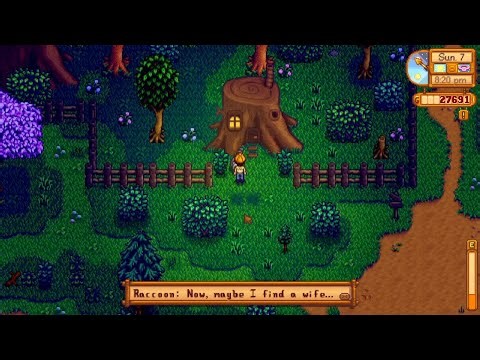 Stardew Valley (60) raccoon find wife?