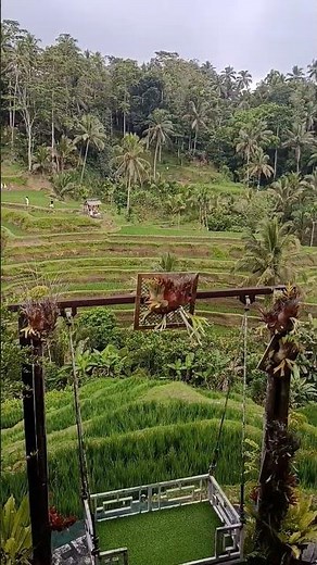 The Rice Terraces of Ubud Will Leave You Speechless 🌿🇮🇩