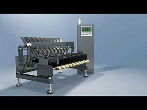 Ensure Quality: FASTech Multi-Lane Stick Pack Checkweighers in Action