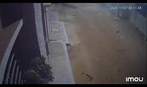 128K views · 1.4K reactions | Un Voleur en pleine chute libre, sans parachute !  | Gabon Next News | Facebook