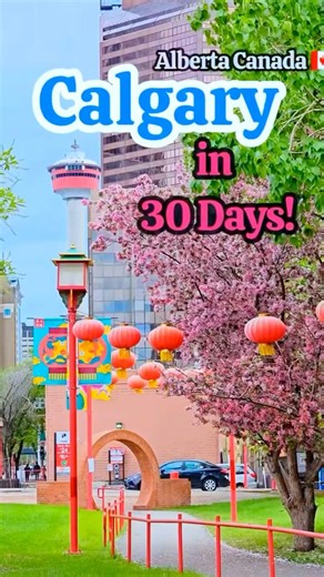 Spring in Calgary 🌸 | The City Wakes Up After Winter! #ytshorts #shortyz #springvibes #calgarylife