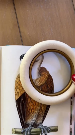 Deema Tabbara Lopez on Instagram: "Sorry not sorry 🖼️ . . . #hometakestime #mythriftedhome #artideas"