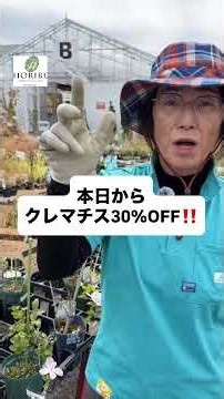 【解説】クレマチスの植え方間違ってない⁉️#ほりべ #ほりべ造園 #旭川 #クレマチス #育て方 #植え方 #ガーデニング #庭 #観葉植物 #家庭菜園 #バラ
